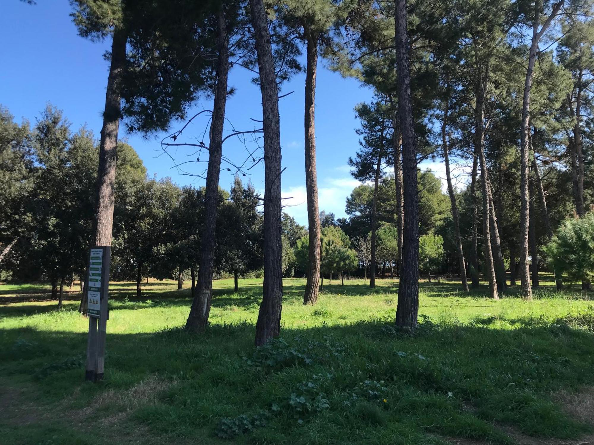 Holiday home La Carezza Montesilvano
